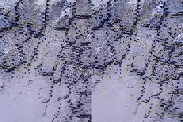 Drought Response Plans Activated in Northern Regions as Water Levels Drop Sharply